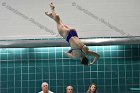 Swimming & Diving vs RWU  Swimming & Diving vs Roger Williams University. - Photo by Keith Nordstrom : Wheaton, Swimming